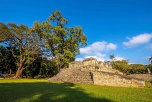 Mahahual: Exploración de la Cultura Maya en las Ruinas de Chacchoben