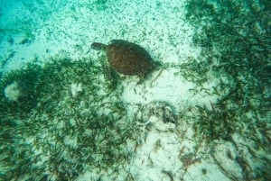 Mahahual: Snorkeling Boat Tour