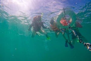 Mahahual: Snorkeling Boat Tour