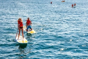 Puerto Vallarta: Isla Marietas Snorkel, Kayak ,Paddle, Comida Todo Incluido