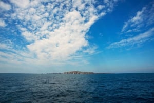 Puerto Vallarta: Isla Marietas Snorkel, Kayak ,Paddle, Comida Todo Incluido