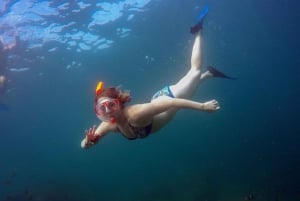 La Cruz de Huanacaxtle: Full-Day Marietas Islands Boat Tour