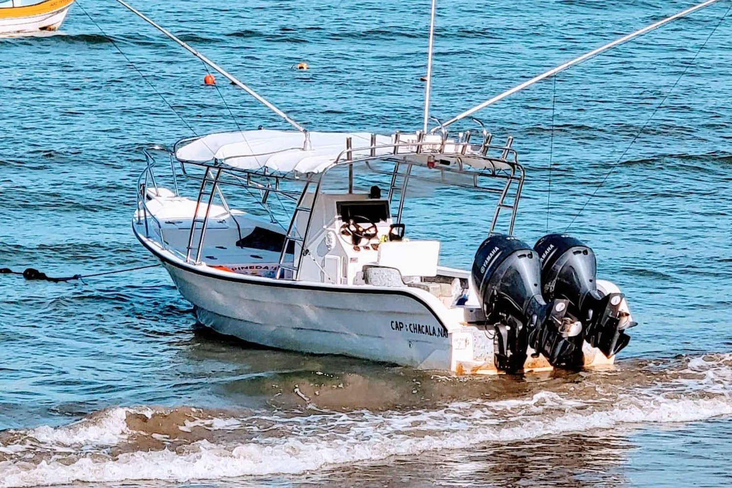 Marlin fishing in guayabitos