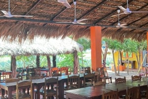 Mazatlán: Beach & Jungle ATV Tour w/ Lunch & Tequila Tasting