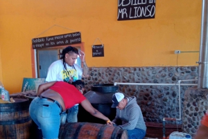 Mazatlán: Excursión en quad por la playa y la selva con comida y cata de tequila