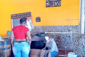 Mazatlán: Beach & Jungle ATV Tour w/ Lunch & Tequila Tasting