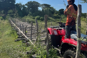 Mazatlán: Beach & Jungle ATV Tour w/ Lunch & Tequila Tasting