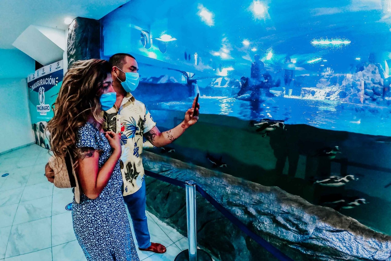 Mazatlan: City Aquarium Premium Access and Sightseeing Tour