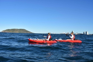 Mazatlan: Deer Island Eco Tour with Snorkeling and Hiking