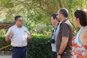 Mazatlán: Ruta de las Bodegas La Noria