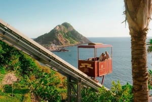 Mazatlán: Observatorio 1873 Cultural & Nature Experience