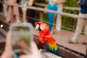 Mazatlán: Observatorio 1873 Cultural & Nature Experience