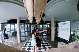 Mazatlán: Observatorio 1873 Cultural & Nature Experience