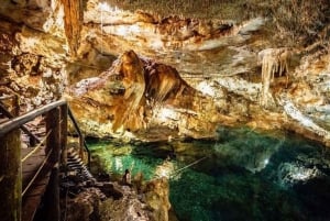 Merida: 4 Cenotes Adventure and Mexican Meal included