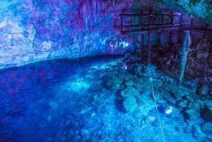 Merida: 4 Cenotes Adventure and Mexican Meal included