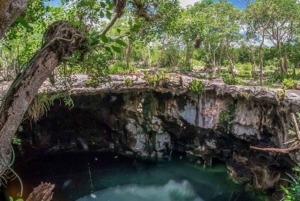 Merida: Cenotes Full-Day Tour with Lunch