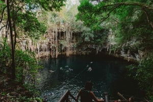 Mérida: Explora Con La Persona Que Amas, Excursión de un día a Cenotes.