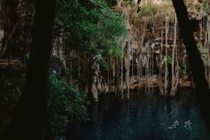 Mérida: Explora Con La Persona Que Amas, Excursión de un día a Cenotes.