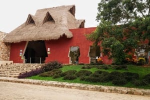 Mérida: Explora Con La Persona Que Amas, Excursión de un día a Cenotes.