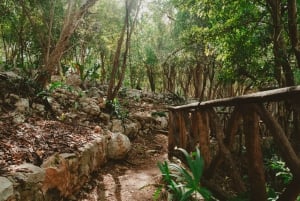 Merida: Explore With The One You Love, Day trip to Cenotes.