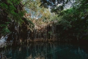 Mérida: Explora Con La Persona Que Amas, Excursión de un día a Cenotes.