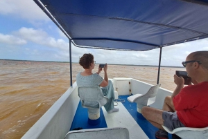 Mérida: Consigue Tu Guía Y Coche Para Explorar Yucatán