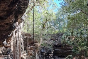 Mérida: Consigue Tu Guía Y Coche Para Explorar Yucatán