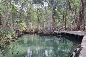 Mérida: Consigue Tu Guía Y Coche Para Explorar Yucatán