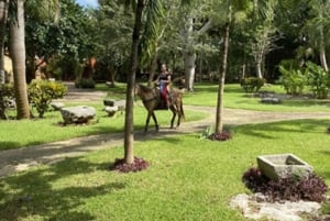 Merida: Hacienda Horseback Ride Experience