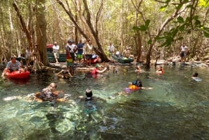 Merida: Kayaking and Bird Sanctuary in Sisal