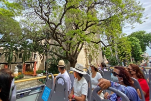 Mérida: Panoramic Sightseeing Tour Bus Ticket with 2 Routes