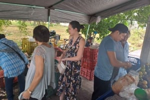 Mérida : Excursiones Privadas Servicio de Coche y Guía