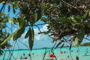 Sisal Kayak Through Mangroves and Bird Watching Tour