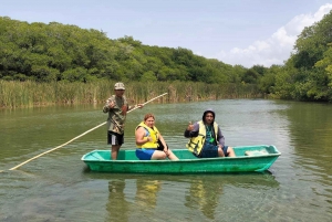 Excursión en Kayak de Sisal por los Manglares y Observación de Aves