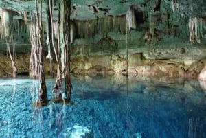 Desde Mérida: Excursión a los Cenotes Mágicos con Comida Local