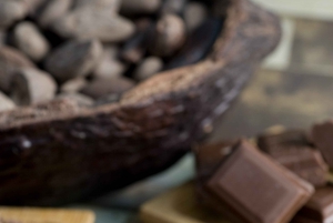 Mérida: Uxmal y el Museo del Chocolate Choco-Story