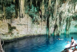 Mérida: Xibalbá Cenote Adventure Tour