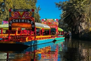 'Fiesta Mexicana Flotante en los canales de xochimilco'