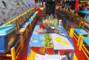 'Fiesta Mexicana Flotante en los canales de xochimilco'