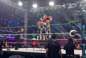 Mexico City:AAA x WWE Lucha Libre Tour with Guide and Ticket