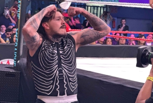 Mexico City:AAA x WWE Lucha Libre Tour with Guide and Ticket