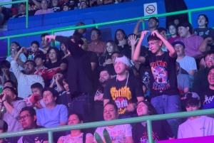 Mexico City:AAA x WWE Lucha Libre Tour with Guide and Ticket