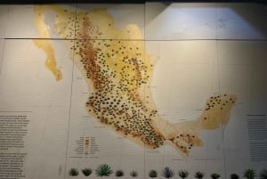 Mexico City: Agave Museums, Tastings and Mariachi Night Tour