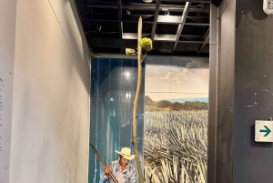 Mexico City: Agave Museums, Tastings and Mariachi Night Tour