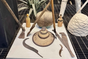 Mexico City: Agave Museums, Tastings and Mariachi Night Tour