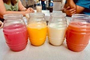 Mexico City: Agave Museums, Tastings and Mariachi Night Tour