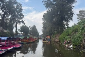 Mexico City: Expert-Guided Boat Tour with Lunch and Drinks