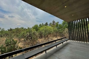 Mexico City: Anahuacalli Museum Entry Ticket and Guided Tour