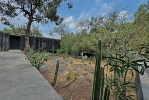 Mexico City: Anahuacalli Museum Entry Ticket and Guided Tour