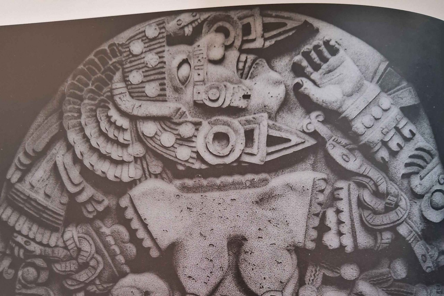 Mexico City: Art and Food Tour with Lunch